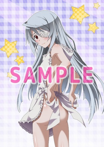 画像ギャラリー No.004のサムネイル画像 / 「IS＜インフィニット・ストラトス＞2 ラブ アンド パージ」店舗別特典イラストを公開