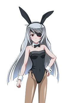 画像ギャラリー No.013のサムネイル画像 / 「IS2 ラブ アンド パージ」，栗林みなみさんが歌うOPテーマも聴けるPVが公開。限定版同梱/初回限定生産特典の情報も