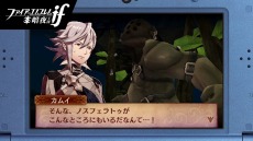 画像ギャラリー No.012のサムネイル画像 / 3DS用ソフト「ファイアーエムブレムif」は「白夜王国」「暗夜王国」の2バージョンで,2015年6月25日の発売が決定