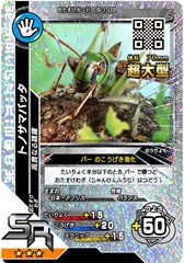 画像ギャラリー No.003のサムネイル画像 / 「新甲虫王者ムシキング」が稼動開始。無料WEBアプリ「ムシキングびより」とも連動