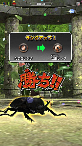 画像ギャラリー No.021のサムネイル画像 / 「新甲虫王者ムシキング」,“激闘第5弾”が稼働開始。33種類以上の新カードが登場