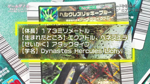 画像ギャラリー No.014のサムネイル画像 / 「ゲームゲノム」Season2「甲虫王者ムシキング/オシャレ魔女 ラブ and ベリー」を振り返る。2作品がもたらした“おとなへの階段”とは