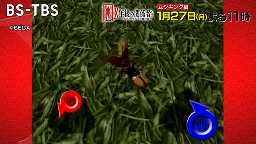 画像ギャラリー No.001のサムネイル画像 / 一大ムーブメントを巻き起こした「甲虫王者ムシキング」の光と闇を紐解く特集番組,BS-TBS「X年後の関係者たち」で1月27日に放送