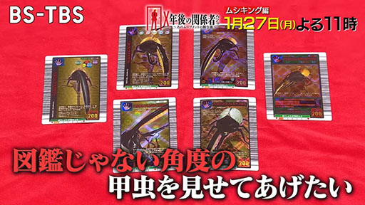 画像ギャラリー No.002のサムネイル画像 / 一大ムーブメントを巻き起こした「甲虫王者ムシキング」の光と闇を紐解く特集番組,BS-TBS「X年後の関係者たち」で1月27日に放送