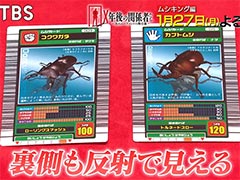 一大ムーブメントを巻き起こした「甲虫王者ムシキング」の光と闇を紐解く特集番組，BS-TBS「X年後の関係者たち」で1月27日に放送