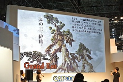 画像ギャラリー No.016のサムネイル画像 / ［TGS 2015］「Dragon's Dogma Online」のシーズン1.1実装は2015年10月15日。ステージイベントで「ストリートファイター」シリーズとのコラボも発表