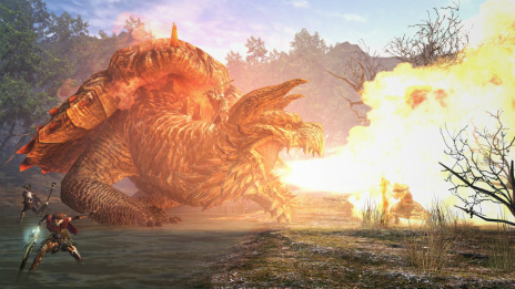 画像ギャラリー No.003のサムネイル画像 / 「Dragon’s Dogma Online」“シーズン2.2”のリファイン情報や最強装備のビジュアル，そしてフィンダム大陸に棲む巨竜「タラスク」が公開