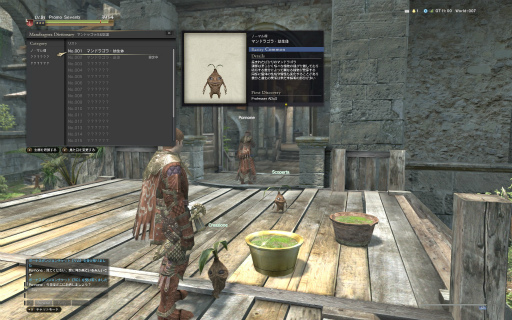 画像ギャラリー No.032のサムネイル画像 / 「Dragon's Dogma Online」シーズン3.0を先行体験。新たな敵とのバトルをはじめ,「戦術育成」「マンドラゴラ・ガーデニング」をレポート
