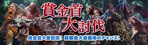 画像ギャラリー No.005のサムネイル画像 / 「DDON」，「竜彫りの秘装具II」や「極ジュエリー」が手に入る「白竜祭〜奉納〜」が開催