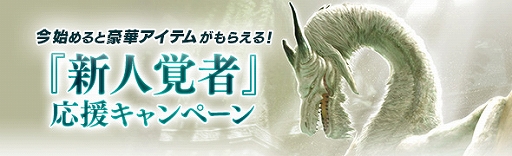 画像ギャラリー No.004のサムネイル画像 / 「DDON」，イベント「白竜祭〜奉納〜」が開催。Lv90まで一気に成長できる新人覚者応援キャンペーンも