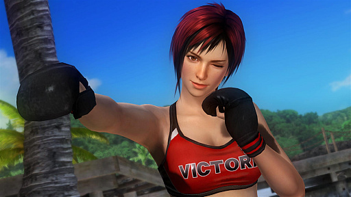 画像ギャラリー No.003のサムネイル画像 / 「DOA 5 Last Round」，基本無料版累計ダウンロード数が800万を突破。PS Plus加入者限定キャンペーンも