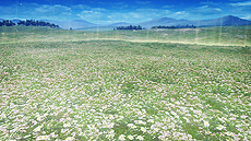画像ギャラリー No.009のサムネイル画像 / 「FFXV」のノクティスも参戦。AC「ディシディア ファイナルファンタジー」の稼働2周年記念大型アップデートが本日実施