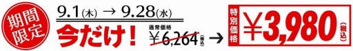 画像ギャラリー No.007のサムネイル画像 / 「鉄道にっぽん!路線たび 近江鉄道編」のDL版がeショップで9月1日に配信開始