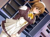 パルフェ