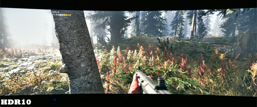 画像ギャラリー No.003のサムネイル画像 / 【西川善司】FreeSync 2でゲームは何が変わる？ 対応ディスプレイと対応ゲームで確認してみた