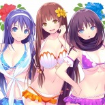 画像ギャラリー No.003のサムネイル画像 / 100種類以上のDLCと特別スリーブが封入された「VALKYRIE DRIVE -BHIKKHUNI- Bikini Party Edition」が2017年1月12日に発売決定