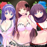 画像ギャラリー No.004のサムネイル画像 / 100種類以上のDLCと特別スリーブが封入された「VALKYRIE DRIVE -BHIKKHUNI- Bikini Party Edition」が2017年1月12日に発売決定
