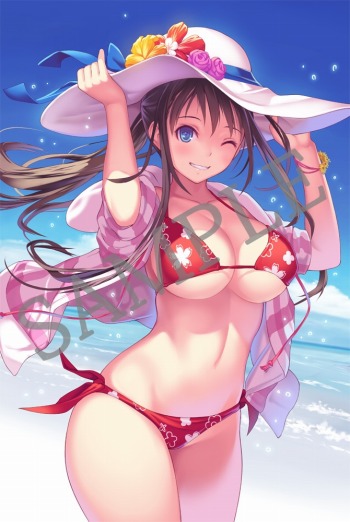 画像ギャラリー No.022のサムネイル画像 / 100種類以上のDLCと特別スリーブが封入された「VALKYRIE DRIVE -BHIKKHUNI- Bikini Party Edition」が2017年1月12日に発売決定