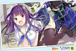 画像ギャラリー No.006のサムネイル画像 / 「VALKYRIE DRIVE -BHIKKHUNI- Bikini Party Edition」の店舗別特典が公開