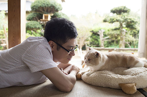 画像ギャラリー No.001のサムネイル画像 / 大ヒットアプリ「ねこあつめ」が俳優の伊藤淳史さん主演で実写映画化。2017年に全国公開決定