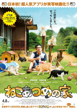 画像ギャラリー No.001のサムネイル画像 / 実写映画「ねこあつめの家」，キャット版メインビジュアルを公開