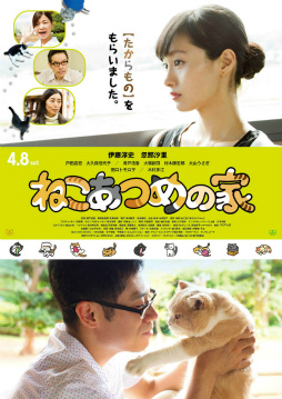 画像ギャラリー No.002のサムネイル画像 / 実写映画「ねこあつめの家」，キャット版メインビジュアルを公開