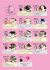 画像ギャラリー No.101のサムネイル画像 / 実写映画「ねこあつめの家」に出演する“タレント猫”の秘蔵写真100枚が一挙公開に
