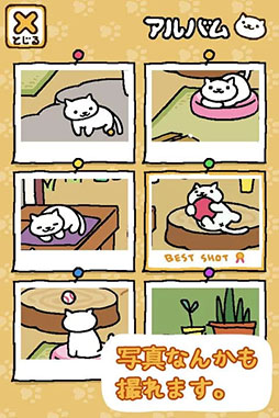 ねこあつめ