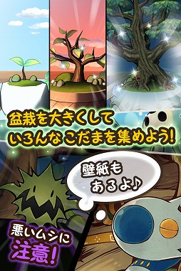 木の声霊こだま
