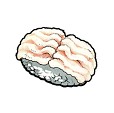 画像ギャラリー No.013のサムネイル画像 / 「宇宙の寿司」10万DL達成。ランキング機能と新キャラを追加