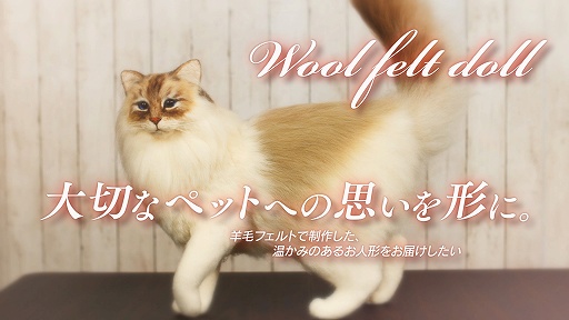 画像ギャラリー No.002のサムネイル画像 / 「STEINS;GATE」シリーズの新企画や「ANONYMOUS;CODE」の発売時期が明かされたMAGES.の事業戦略発表会をレポート