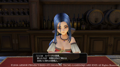 画像ギャラリー No.006のサムネイル画像 / 「ドラゴンクエストヒーローズII」,主人公の拠点となるゼビオンの城下町やさまざまな冒険フィールドの情報が公開