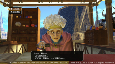 画像ギャラリー No.010のサムネイル画像 / 「ドラゴンクエストヒーローズII」過酷な環境下に置かれた4つの新フィールドが公開。プレイヤーがお世話になる施設の詳細も