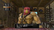 画像ギャラリー No.012のサムネイル画像 / 「ドラゴンクエストヒーローズII」過酷な環境下に置かれた4つの新フィールドが公開。プレイヤーがお世話になる施設の詳細も