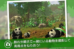 画像ギャラリー No.002のサムネイル画像 / 野生の動物を撮影する「リアルサファリ 」,有料版と無料版が配信スタート