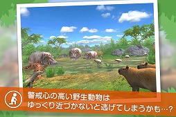画像ギャラリー No.004のサムネイル画像 / 野生の動物を撮影する「リアルサファリ 」,有料版と無料版が配信スタート