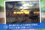 リアルサファリ - 動物をさがそう