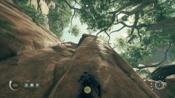 画像ギャラリー No.007のサムネイル画像 / まもなく発売のPC版「Ancestors: The Humankind Odyssey」プレイレポート。1000万年前から人類誕生の歴史を追体験する異色の猿人アクション