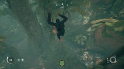 画像ギャラリー No.008のサムネイル画像 / まもなく発売のPC版「Ancestors: The Humankind Odyssey」プレイレポート。1000万年前から人類誕生の歴史を追体験する異色の猿人アクション