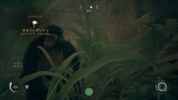 画像ギャラリー No.018のサムネイル画像 / まもなく発売のPC版「Ancestors: The Humankind Odyssey」プレイレポート。1000万年前から人類誕生の歴史を追体験する異色の猿人アクション