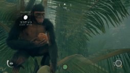 画像ギャラリー No.019のサムネイル画像 / まもなく発売のPC版「Ancestors: The Humankind Odyssey」プレイレポート。1000万年前から人類誕生の歴史を追体験する異色の猿人アクション