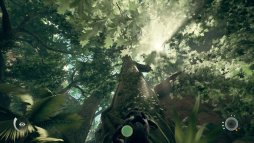 画像ギャラリー No.039のサムネイル画像 / まもなく発売のPC版「Ancestors: The Humankind Odyssey」プレイレポート。1000万年前から人類誕生の歴史を追体験する異色の猿人アクション