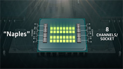 画像ギャラリー No.007のサムネイル画像 / AMDのサーバー向け次世代CPU「Naples」は2017年第2四半期に出荷。32コア64スレッド対応でメモリコントローラは8ch,PCIe Gen.3レーン数128