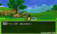 画像ギャラリー No.035のサムネイル画像 / 3DS版「ドラゴンクエストVIII」デコッた写真を交換しあえる「すれちがい通信」の詳細が明らかに。おなじみのカジノなどの情報も公開