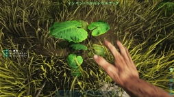 画像ギャラリー No.006のサムネイル画像 / PS4版「ARK: Survival Evolved」プレイレポート。恐竜が闊歩する世界で,プレイヤーそれぞれのスタイルでサバイバル生活が楽しめる