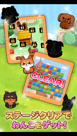わんこライフ