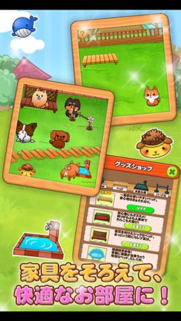 わんこライフ