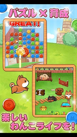 わんこライフ