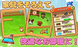 わんこライフ