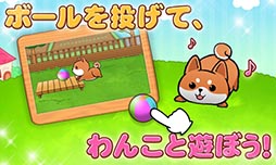 わんこライフ